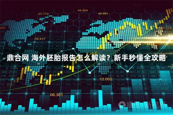 鼎合网 海外胚胎报告怎么解读？新手秒懂全攻略