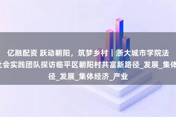 亿融配资 跃动朝阳，筑梦乡村｜浙大城市学院法学院暑期社会实践团队探访临平区朝阳村共富新路径_发展_集体经济_产业